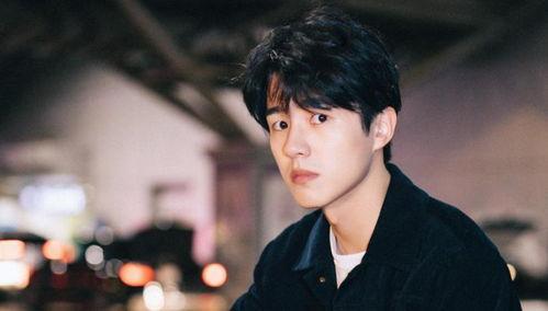 刘昊然舆论爆料视频,真相与误解的交织 第1张 刘昊然舆论爆料视频,真相与误解的交织 第1张